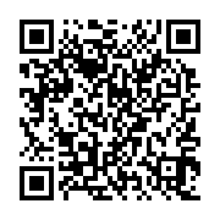 QR code for DID311