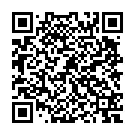 QR code for DIM420