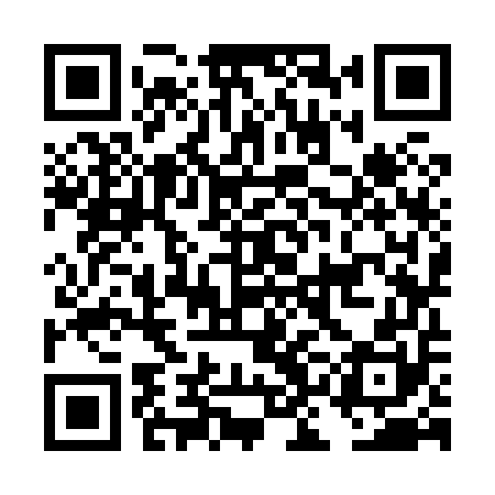 QR code for DKK850