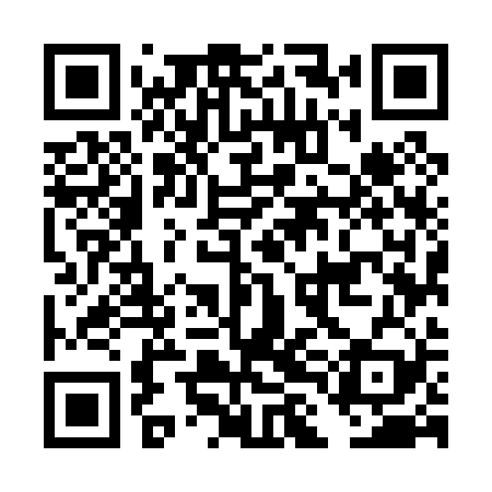 QR code for DLM029