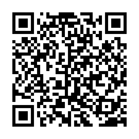 QR code for DLM339