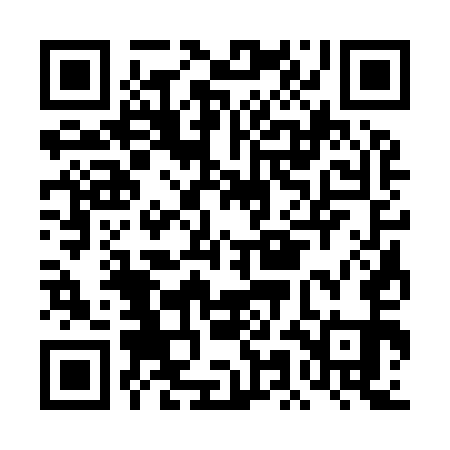 QR code for DMC951