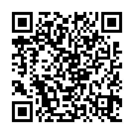 QR code for DMN631