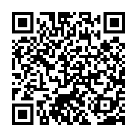 QR code for DMT519