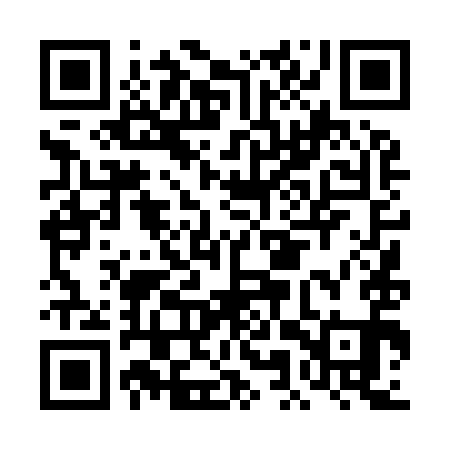QR code for DMT991
