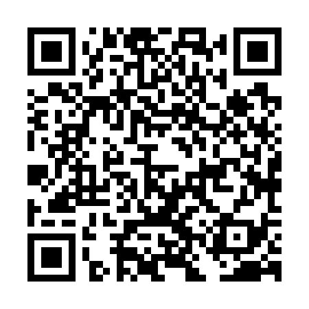 QR code for DNX739