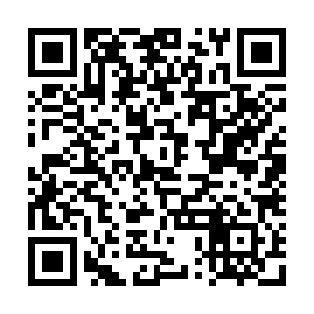 QR code for DPG381