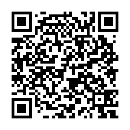 QR code for DPH339