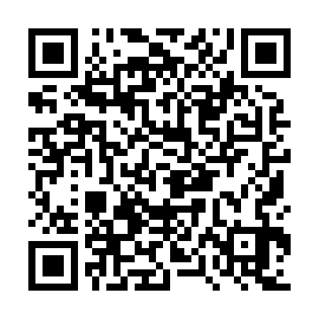 QR code for DPI833