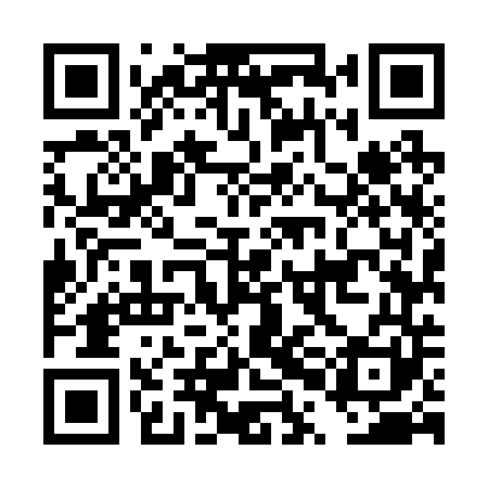 QR code for DPM241