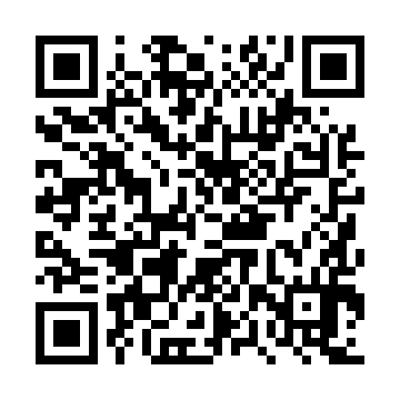 QR code for DPP594