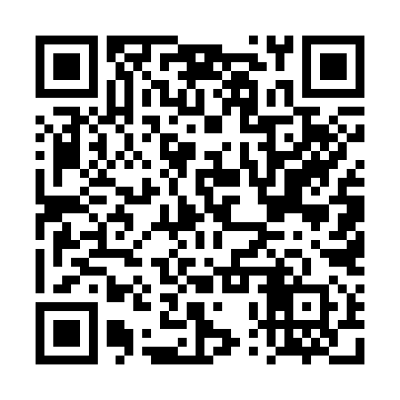 QR code for DPU390