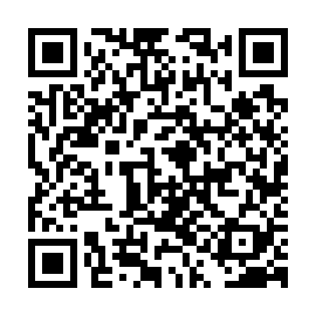 QR code for DQF729