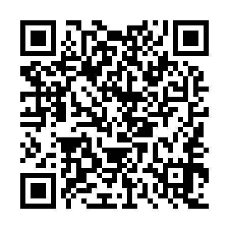 QR code for DQL955