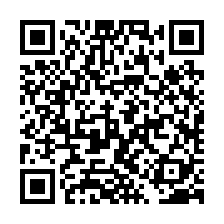 QR code for DQR229