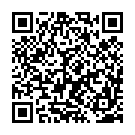 QR code for DQX496