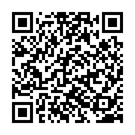 QR code for DRG338