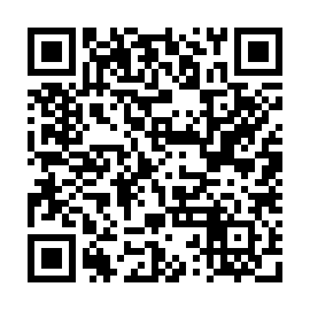QR code for DRG382