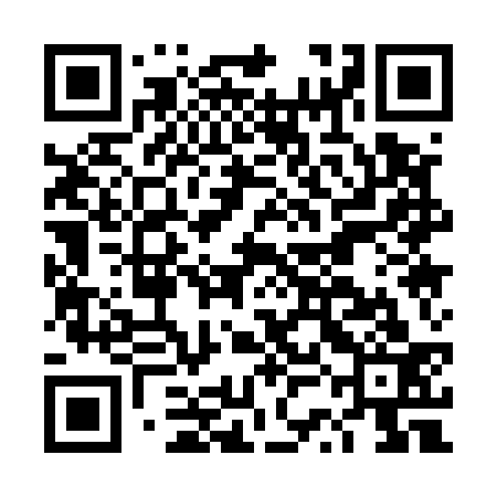 QR code for DSA533