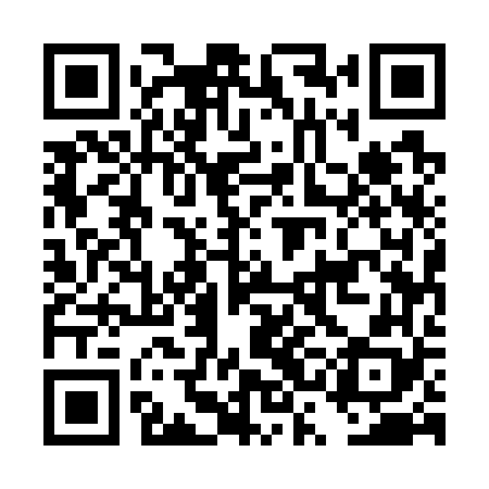 QR code for DSE768