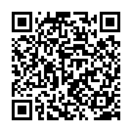 QR code for DSG775