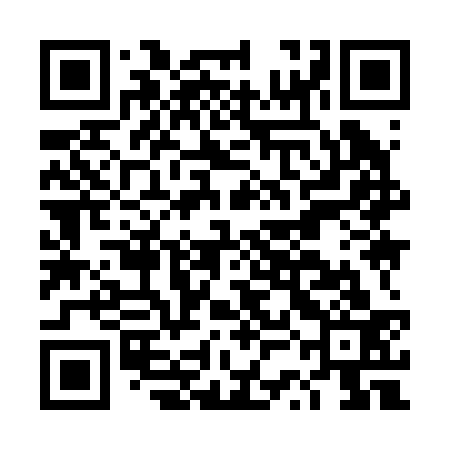 QR code for DSI233