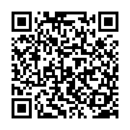 QR code for DSI949