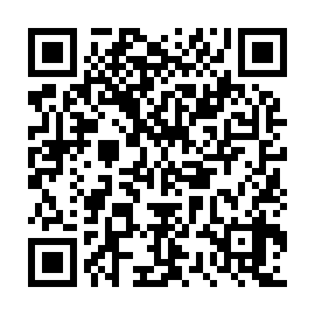 QR code for DSN938