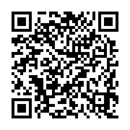 QR code for DSP391