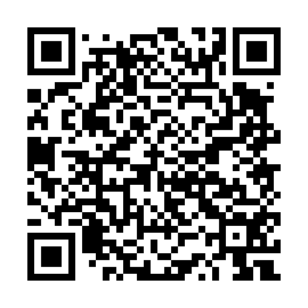 QR code for DSP454