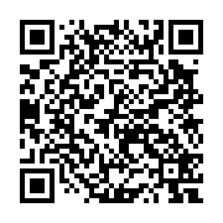 QR code for DSS029