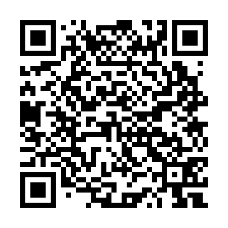 QR code for DSS371