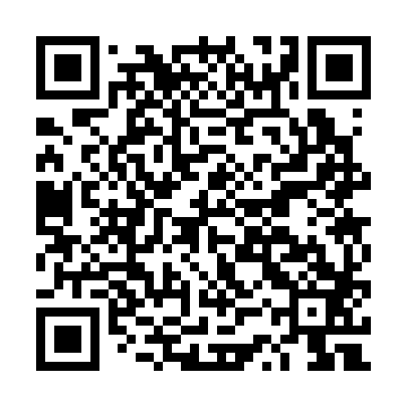QR code for DSS383