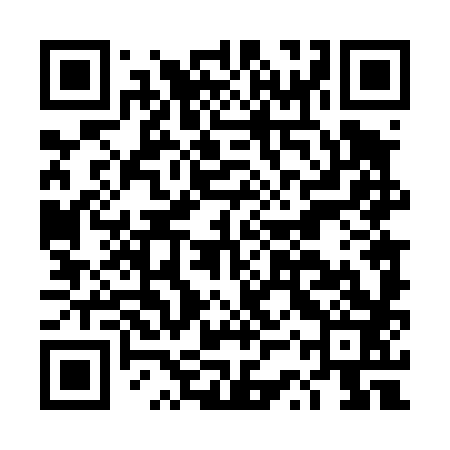 QR code for DST483