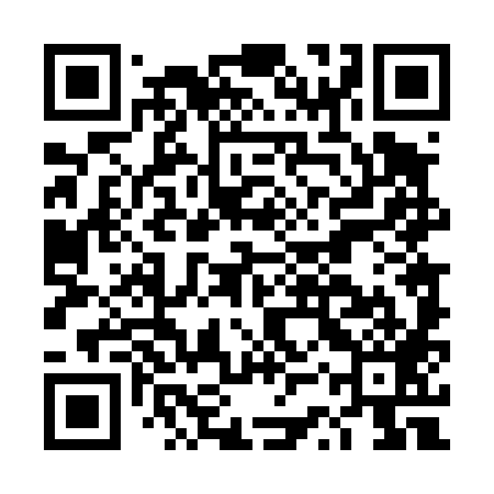 QR code for DST489