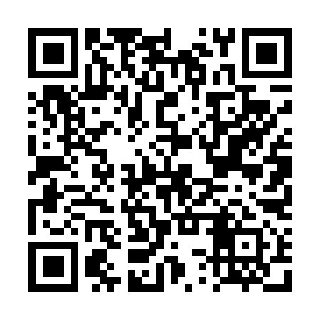 QR code for DST491