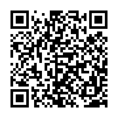 QR code for DST496