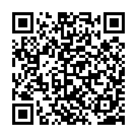 QR code for DSV595