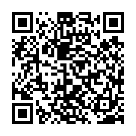 QR code for DSX633