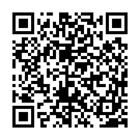 QR code for DSX763