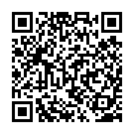 QR code for DUA699