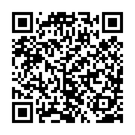 QR code for DUX489