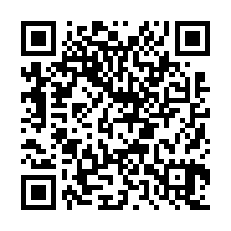 QR code for DUZ625