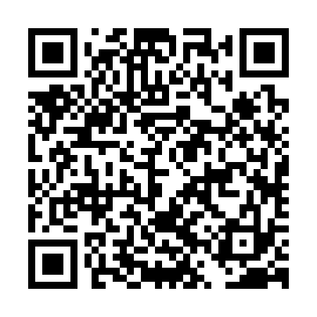 QR code for DVR333