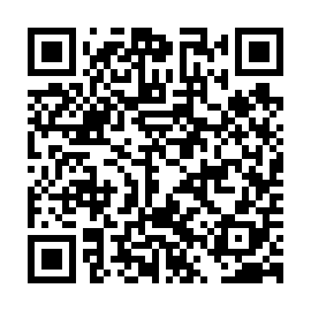 QR code for DVS608