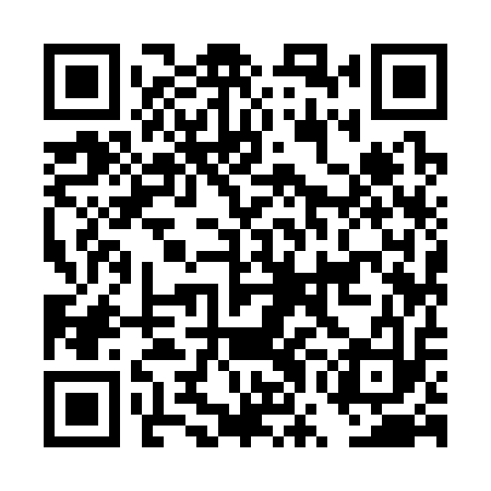 QR code for DWI313
