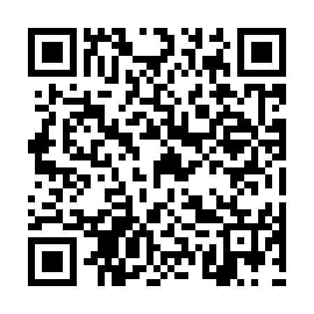 QR code for DWZ955