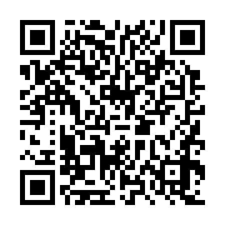 QR code for DXD378