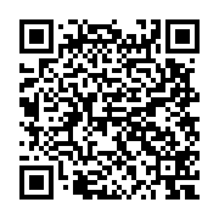 QR code for DXR519