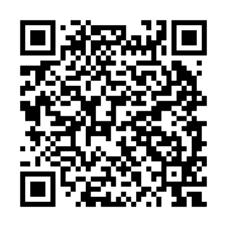 QR code for DXT295